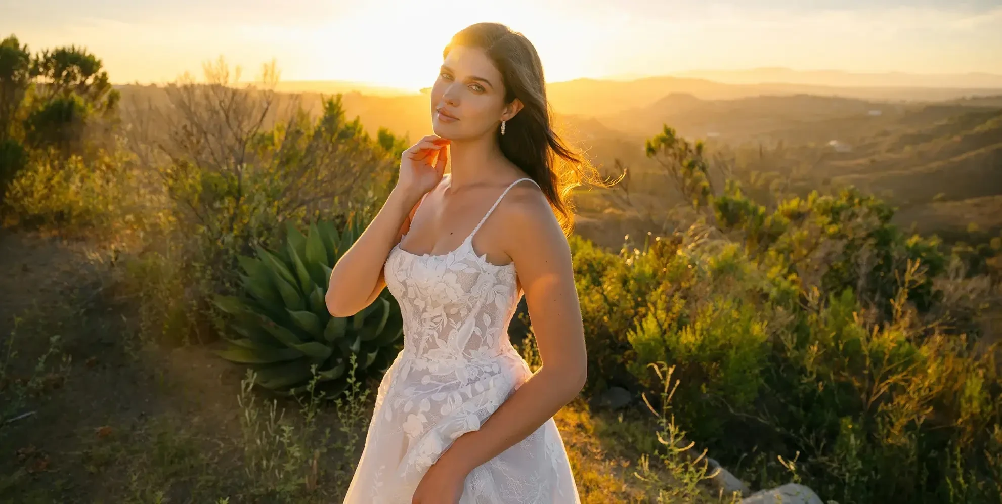 Pure Brides Hero Image