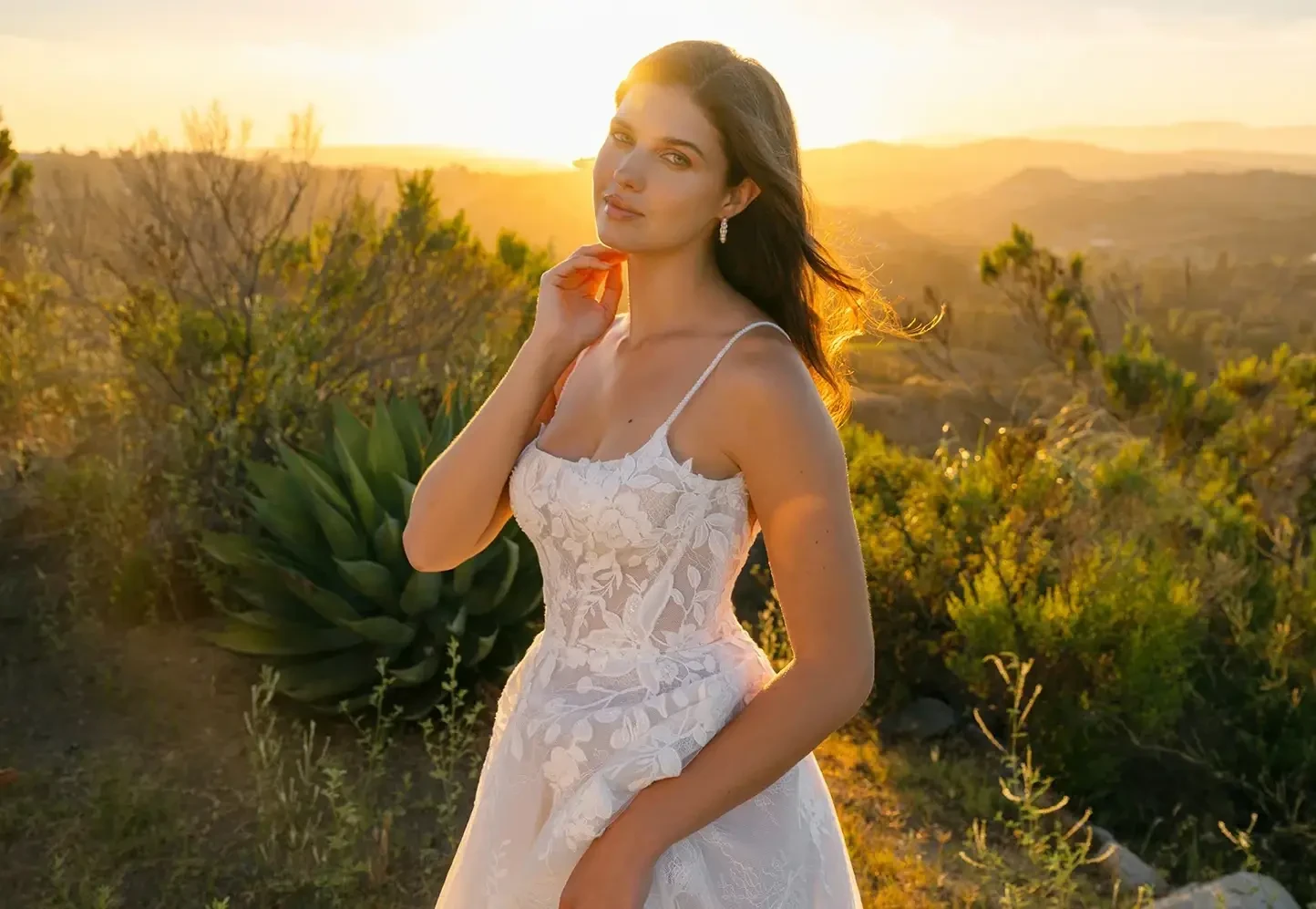 Pure Brides Hero Image